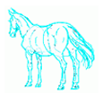 How to Draw an Easy Tempered Horse rear view