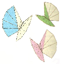 How to Origami a Butterfly
