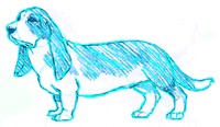 How to Draw a Basset