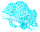 Puzzles a Jaguar