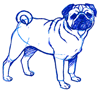 How to Draw a Pug