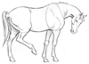 How to Draw an Easy-tempered Horse side view