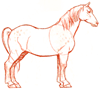 How to Draw a Percheron Horse