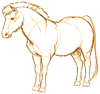 How to Draw a Shetland Pony