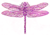 How to Draw a Dragonfly