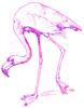 How to Draw a Flamingo