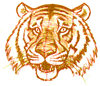 How to Draw a Tiger's head