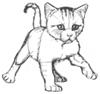 How to Draw a Kitten