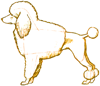 How to Draw a Classical Poodle