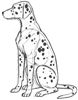 How to Draw a Dalmatian Dog