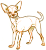 How to Draw a Chihuahua