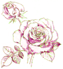 How to Draw a Rose