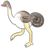 How to Draw an Ostrich