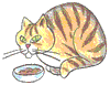 How to Draw an Eating Cat