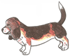 How to Draw a Basset