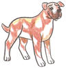 How to Draw a Bullmastiff