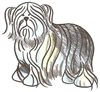 How to Draw an Old English Sheepdog