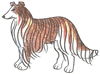 How to Draw a Rough Collie