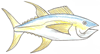 How to Draw an Yellow-fin Tuna