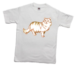 How to print a long-haired parti-coloured cat on a T-shirt
