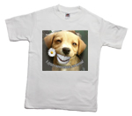 How to print a funny smile dog on a T-shirt