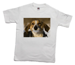 How to print a funny smile dog on a T-shirt