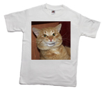 How to print a funny cat on a T-shirt