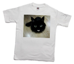 How to print a funny cat on a T-shirt