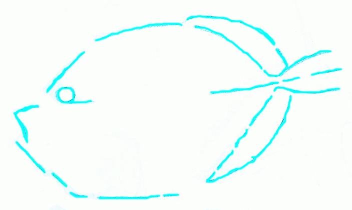 american-sunfish-2_703