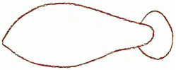 anemonefish-2_250
