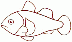 anemonefish-5_250
