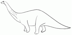apatosaurus-3_250