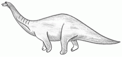 apatosaurus-4_250