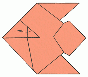 aquarian-fish-17_300_01 aquarian-fish-17_300_01
