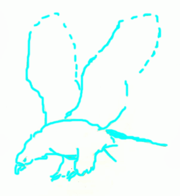 bald-eagle-3_657