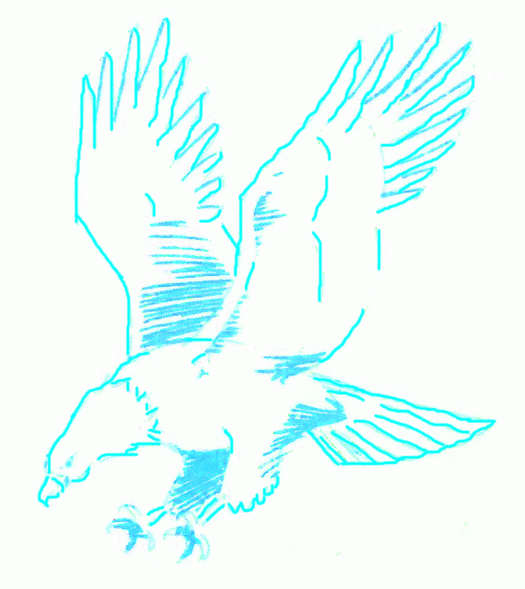 bald-eagle-6_651