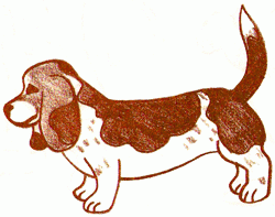 basset-4_250_01