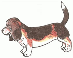 basset-5_250