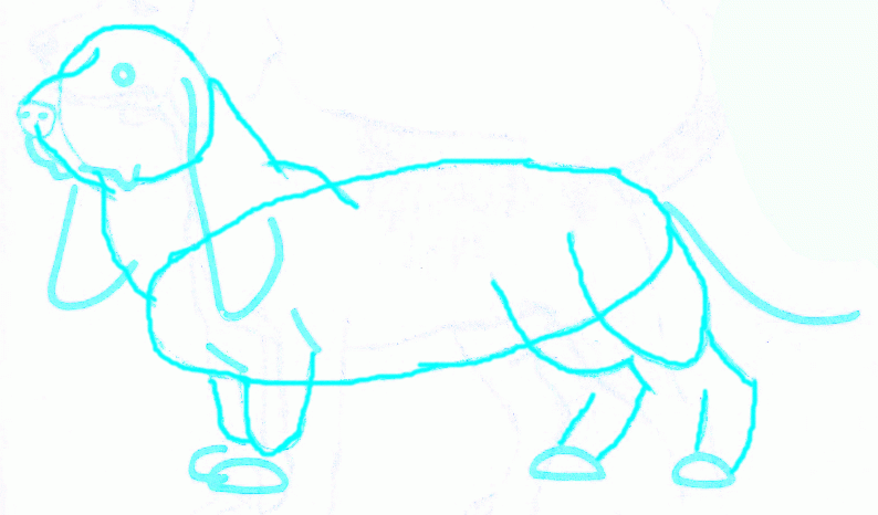 basset-5_794