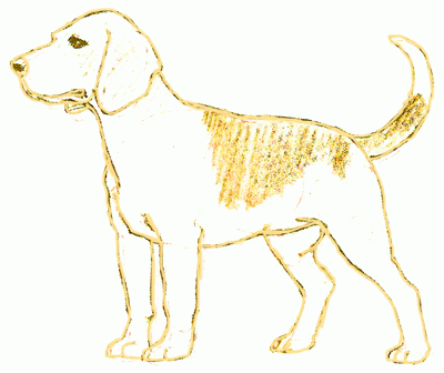 beagle-6_400