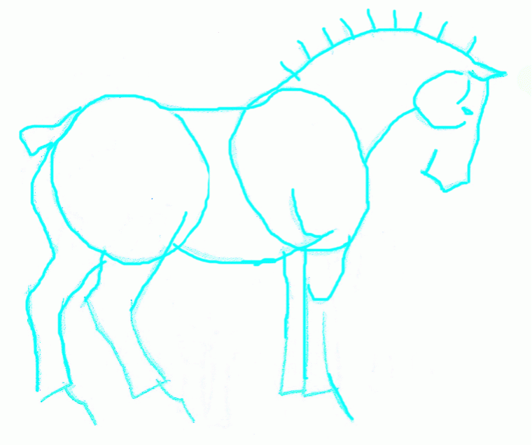 belgian-horse-4_761