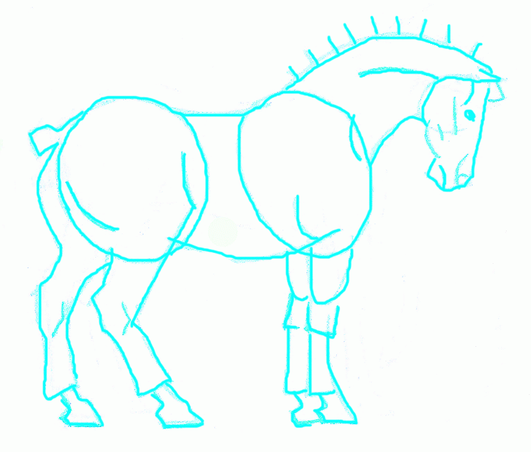belgian-horse-5_763