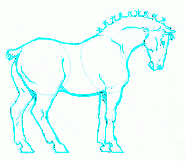 belgian-horse-6_759