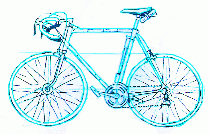 bicycle-for-highway-race-8_729
