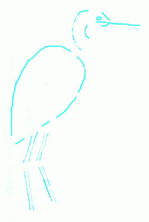 big-blue-heron-2_751