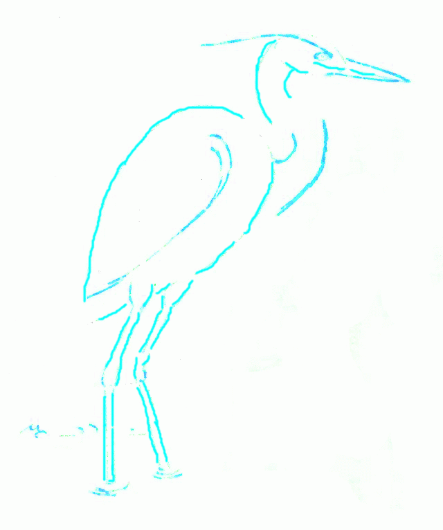 big-blue-heron-3_766