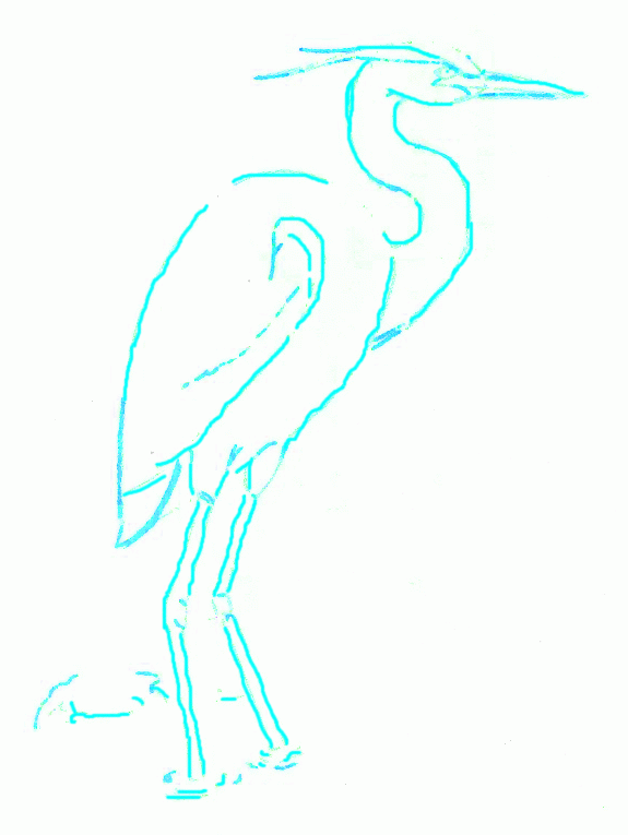 big-blue-heron-4_765