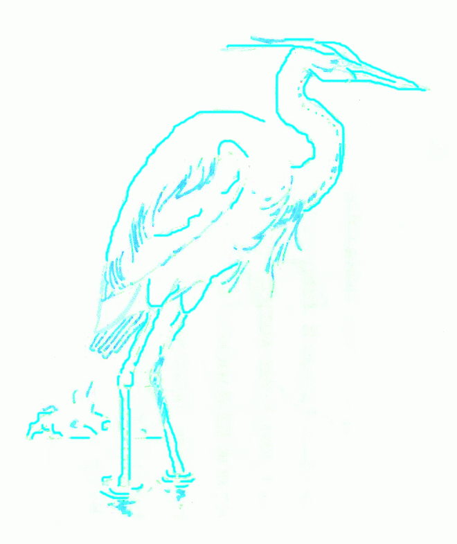 big-blue-heron-5_786