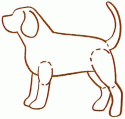 bloodhound-3_250_02