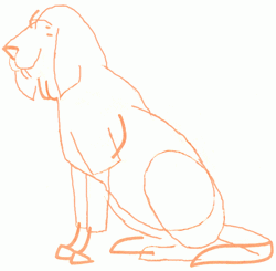 bloodhound-5_250